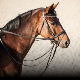 Tøjler og hjælpetøjler