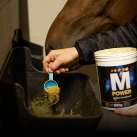 Muskler, led og sener