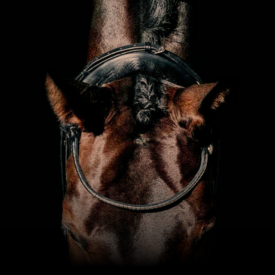 Pandebånd og løsdele