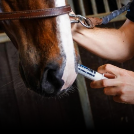 Nervøse og sensitive heste