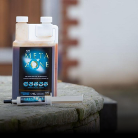 Fodertilskud til stævne