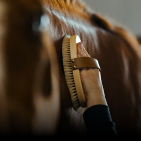 Strigler, striglekasser og -tasker