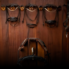 Trenser, kandarer og tilbehør