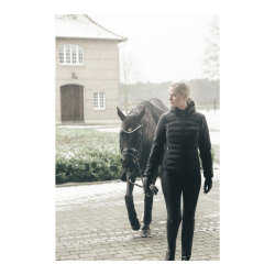 Pikeur quiltede flex ridejakke - Sort
