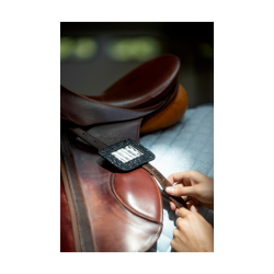 HG stvnenummer m. glitter - Sort