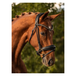 SteinEQUEST rundsyet trense m. dunlop pude - Sort/Sort/Slv