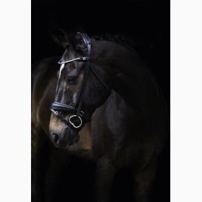 Finesse Bridles Cayenne trense - Sort/Sort/Slv