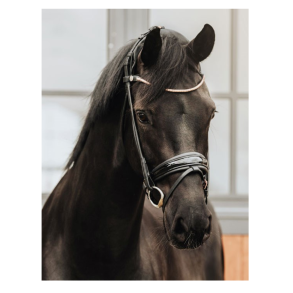 Leje af Finesse testtrense