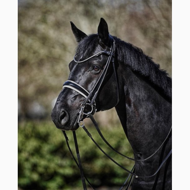 Finesse Bridles kandar - Sort/Hvid/Slv