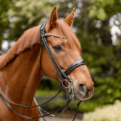 Sprenger HO 12 mm babykandarstang