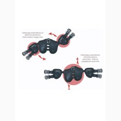 SCHARF Freedom dressurgjord - Sort