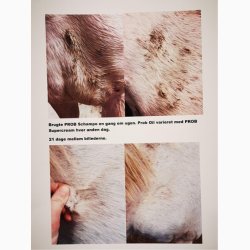 Ekholm PROB Olie, 200 ml.