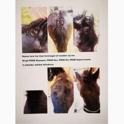 Ekholm PROB Olie, 200 ml.