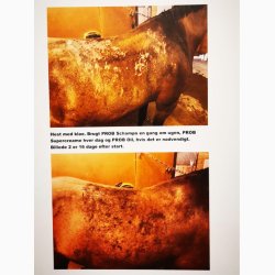 Ekholm PROB Olie, 200 ml.