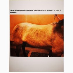 Ekholm PROB Olie, 200 ml.