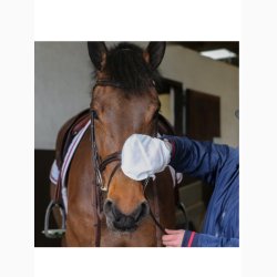 CDM Belvoir Tack Cleaner Mitt pudseklude, 10 stk.