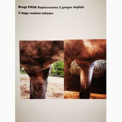 Ekholm PROB Supercream, 100 ml.